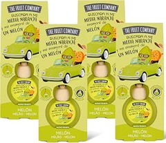 Ambientadores de coche con aroma cítrico: ideales para viajar con mascotas
