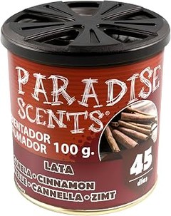 Consejos para el mantenimiento de ambientadores de gel para coche