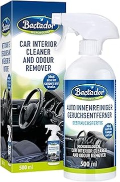 Los Mejores Limpiadores para Olores de Moho en el Interior del Coche