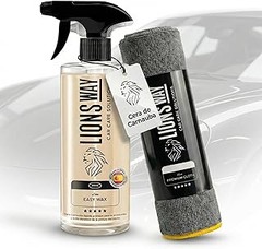 ¿Cuánto cuestan los selladores cerámicos en spray?