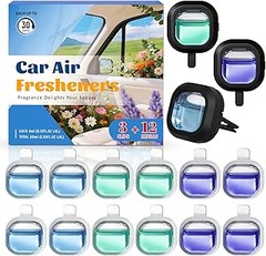 Problemas frecuentes y soluciones para ambientadores recargables de coche
