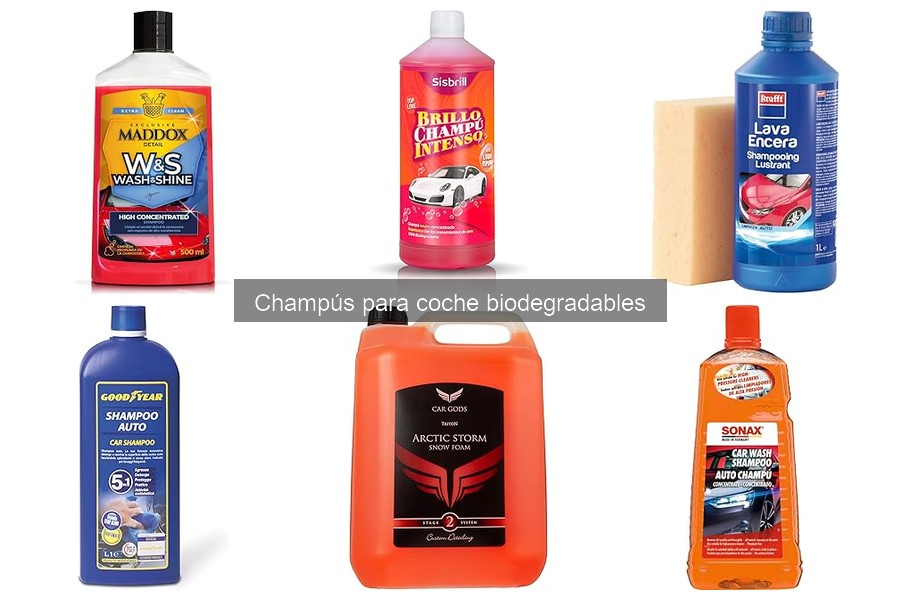 Almacenamiento adecuado de champús biodegradables para coche