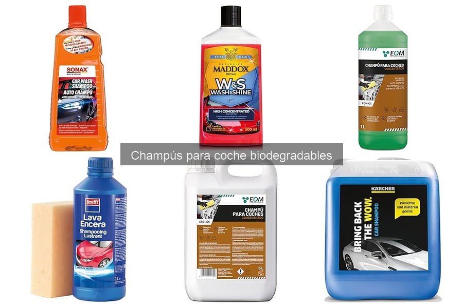 Alternativas al champú biodegradable para lavar tu coche