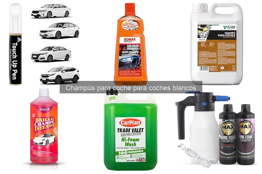Champús económicos para coches blancos: calidad y precio