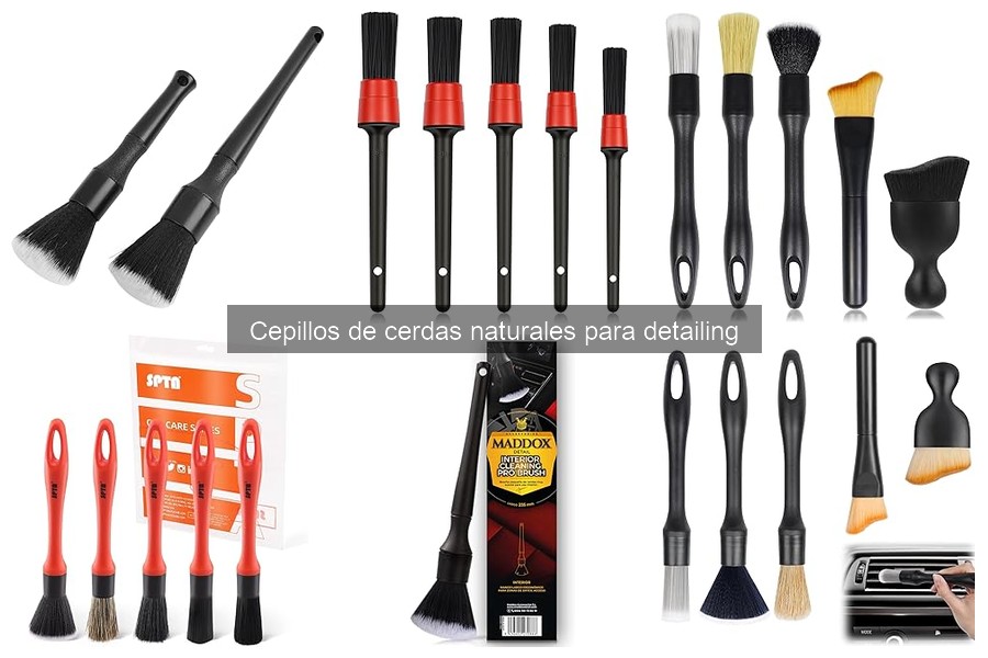 Cómo almacenar cepillos de cerdas naturales para su longevidad