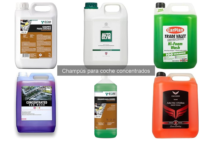 Cómo almacenar champús concentrados para coche