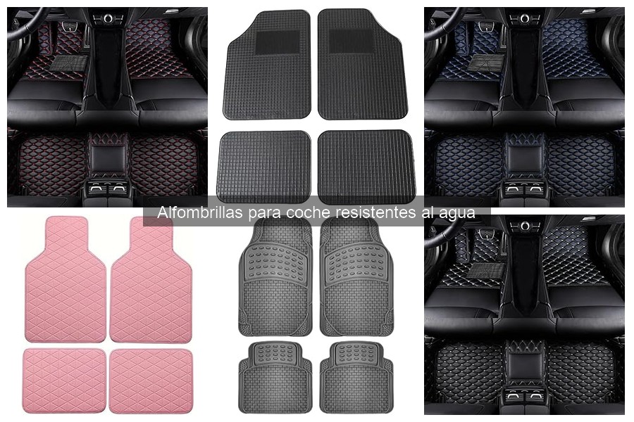 Cómo elegir alfombrillas para coche resistentes al agua