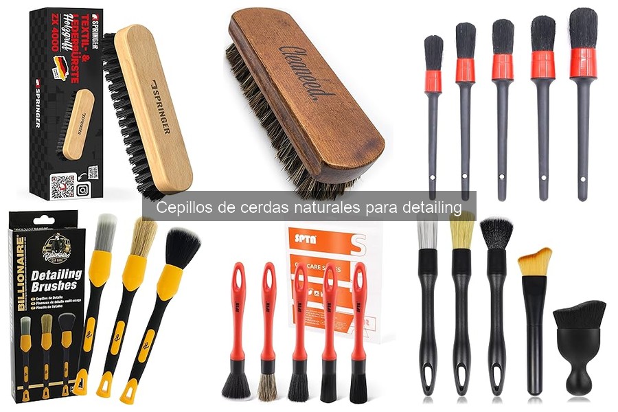 Cómo Elegir el Cepillo de Cerdas Naturales para tu Coche