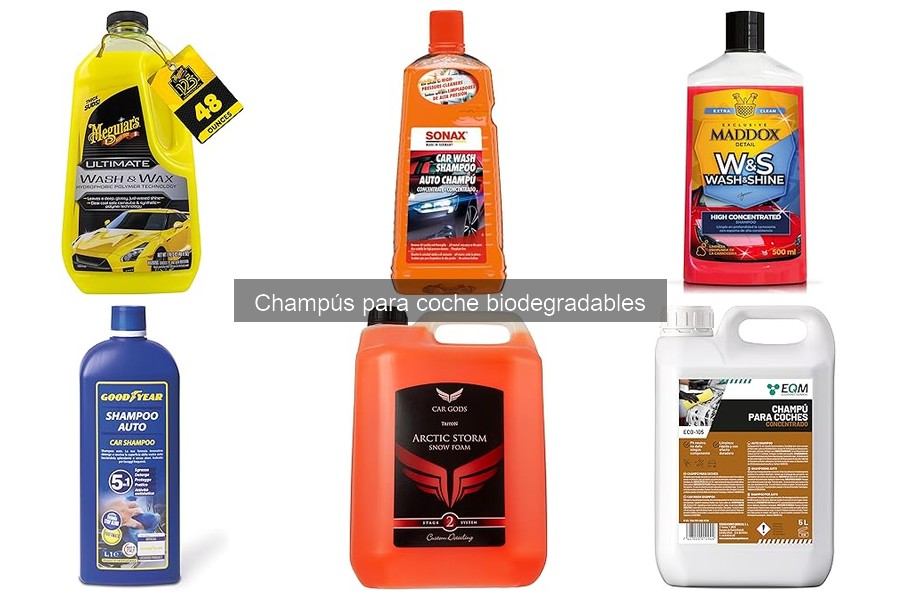 Cómo elegir el mejor champú biodegradable para tu coche