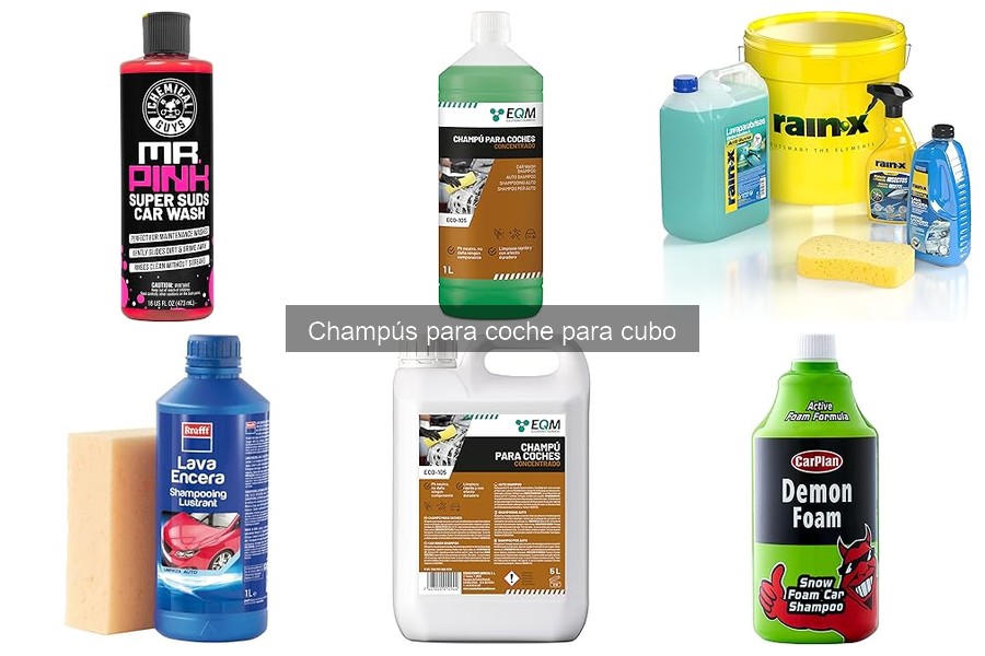 Cómo elegir el mejor champú para coche para cubo