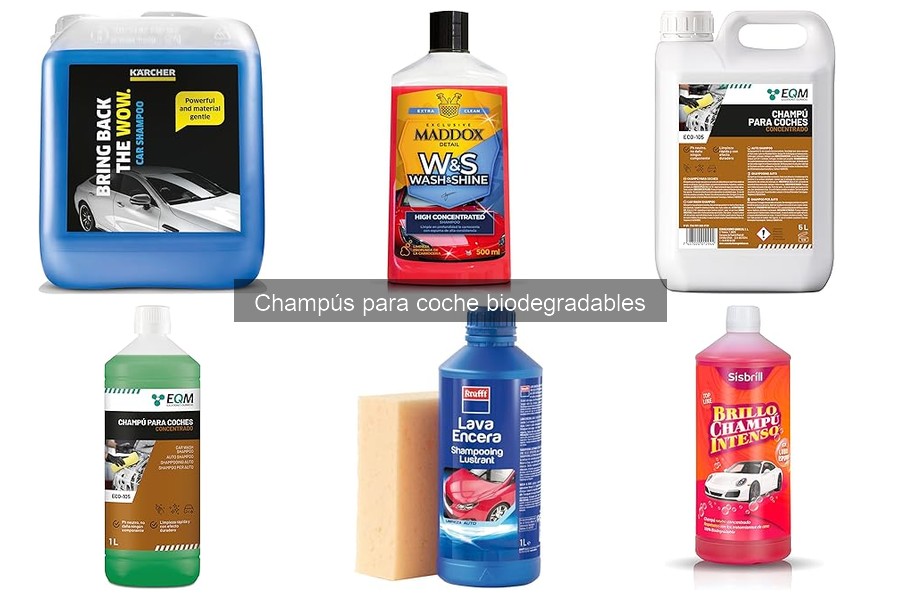 Cómo usar champú biodegradable en tu coche correctamente