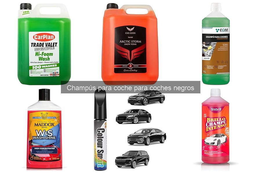 Comparativa de precios de champús para coches negros