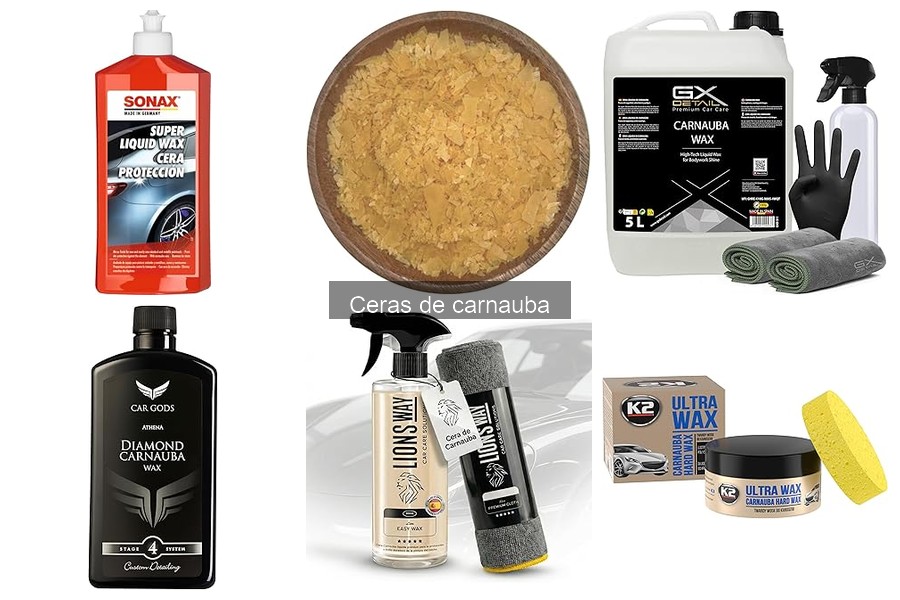 Cuidados para sacar el máximo provecho a la cera de carnauba