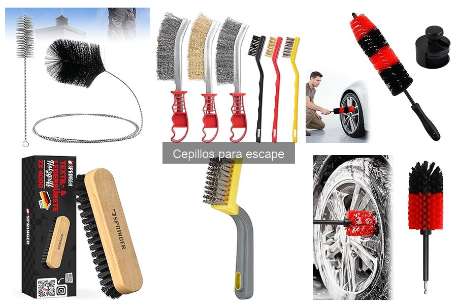 Donde comprar cepillos para escape baratos: Guía y ofertas