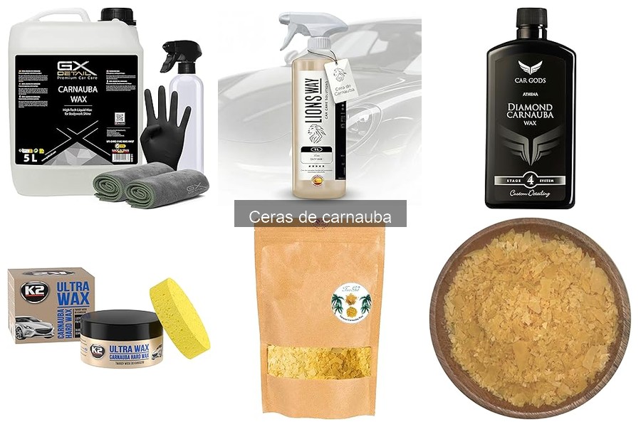 ¿Dónde comprar cera de carnauba a buen precio?