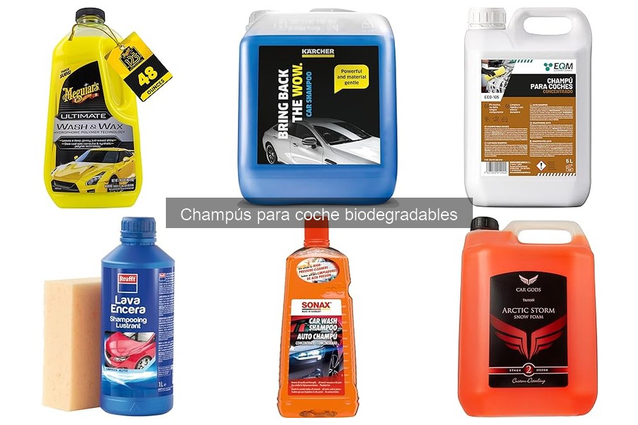 Dónde comprar champús biodegradables para coche