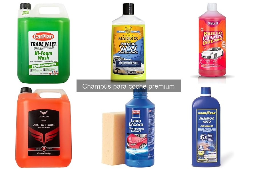 Dónde comprar champús para coche premium al mejor precio