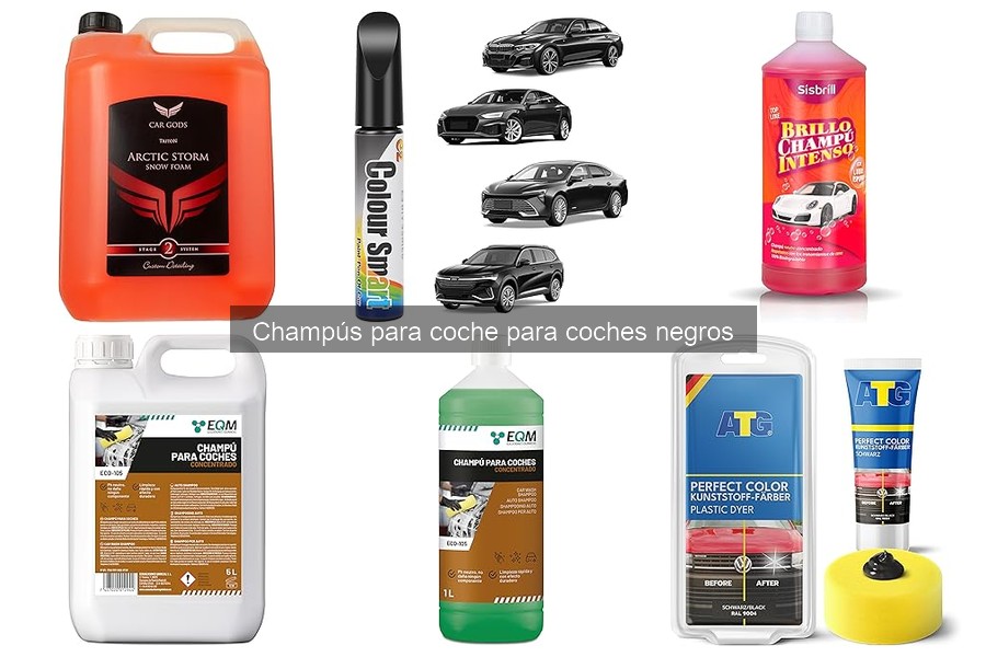 Dónde comprar champús para coches negros: mejores opciones