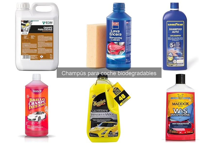 Eficacia de Champús Biodegradables vs Convencionales