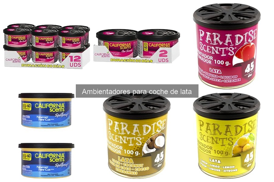 Guía para Elegir el Mejor Ambientador en Lata para tu Coche