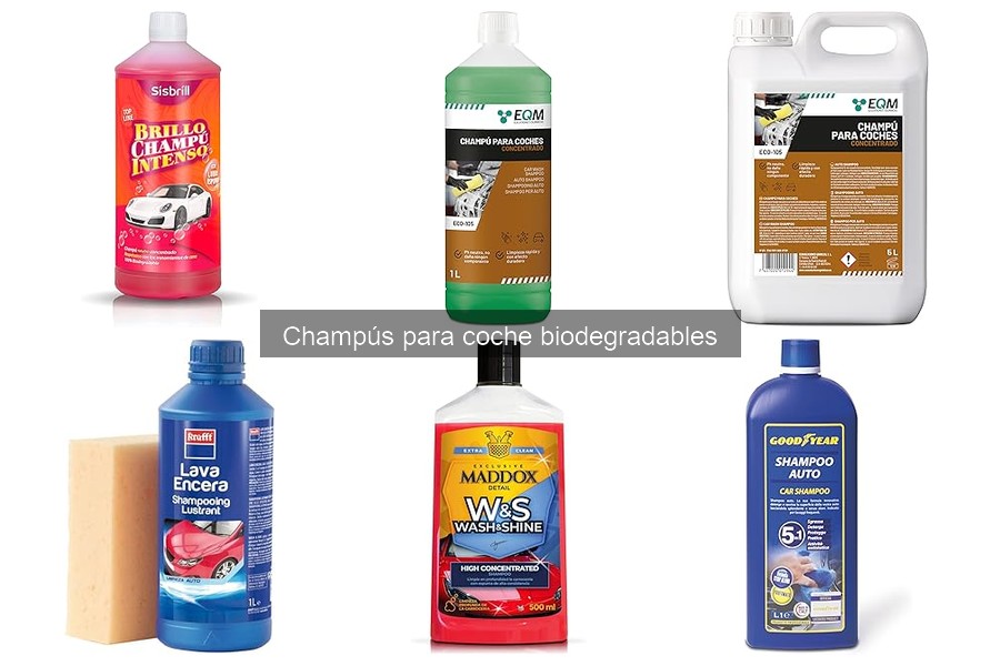 Impacto ambiental de champús biodegradables para coches