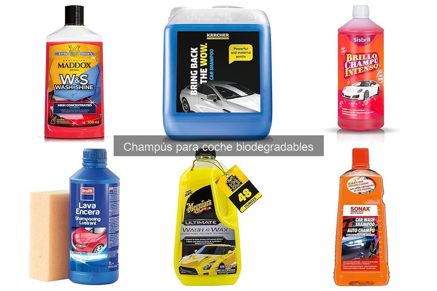 Impacto ambiental de los champús biodegradables para coche