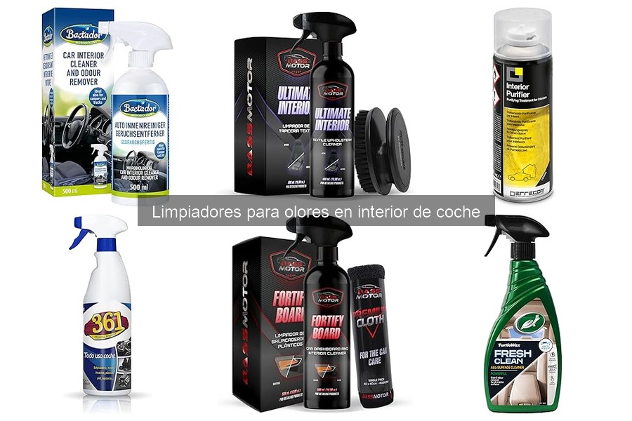 Limpiadores Eficaces contra Olores de Moho en Coche