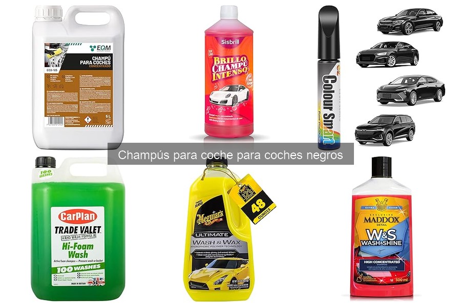 Mejores champús para coches negros: marcas 2023