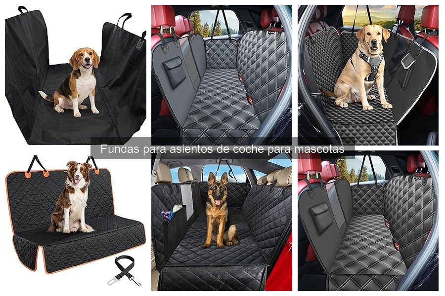 Mejores fundas para asientos de coche para gatos