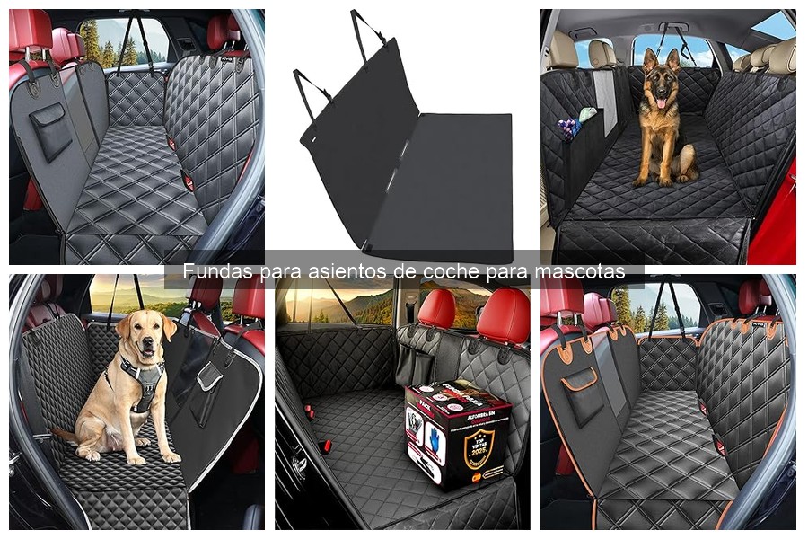 Mejores fundas para asientos de coche para perros grandes