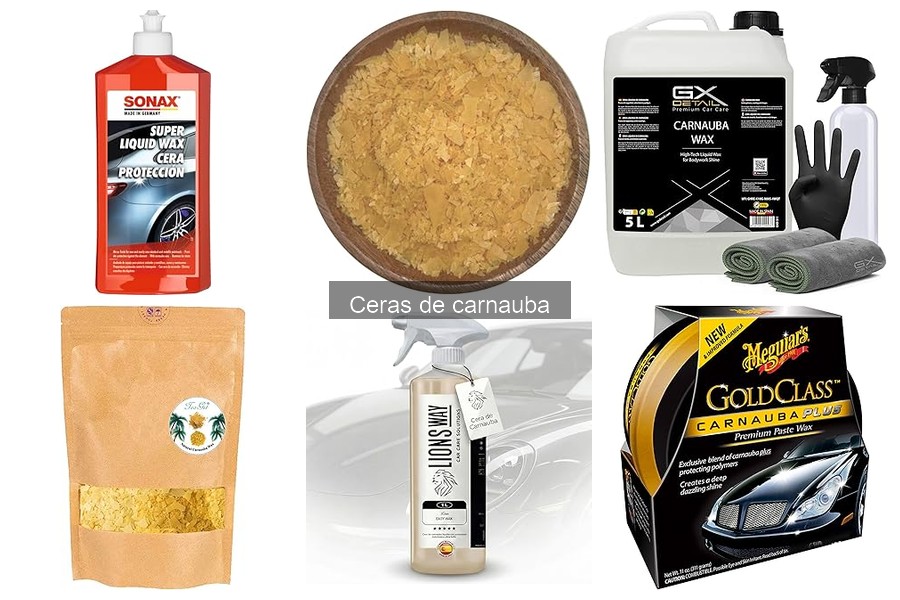 Mejores productos complementarios a la cera de carnauba