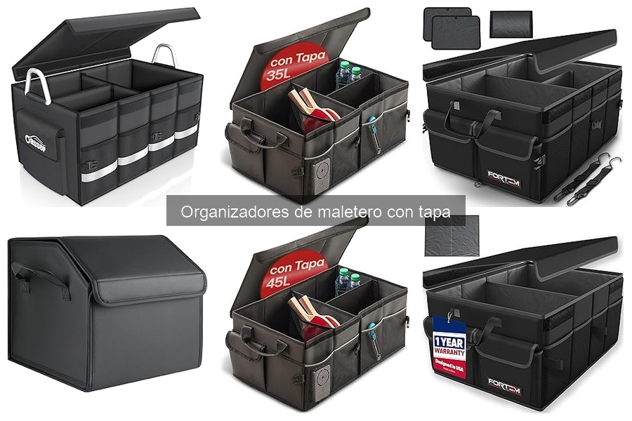 Organizador de maletero con tapa vs. caja de almacenamiento