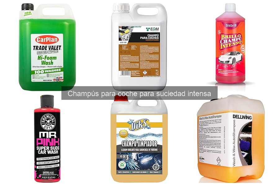 Precios y Dónde Comprar Champús para Suciedad Intensa
