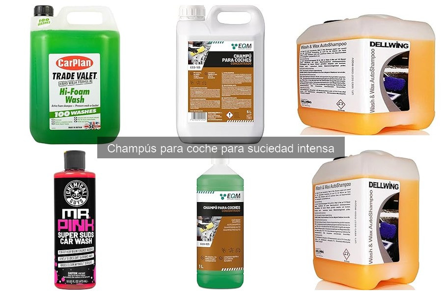 Problemas que resuelven los champús para suciedad intensa