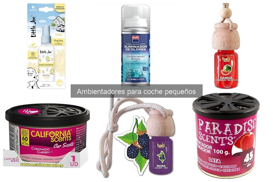 Tipos de ambientadores pequeños para coche: Guía Completa