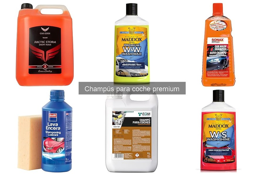 Tipos de champús para coche premium: guía de opciones