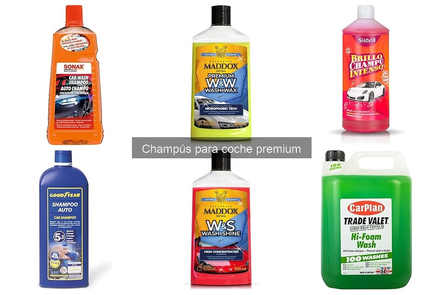 Ventajas de Champús para Coche Premium vs Convencionales
